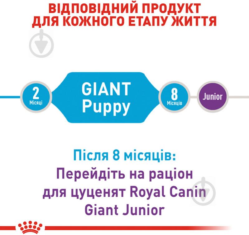 Корм сухой для щенков для крупных пород Royal Canin GIANT PUPPY 15 кг (кукуруза, рис) 15 кг - фото 3