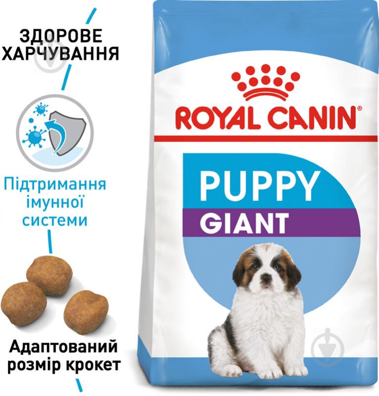 Корм сухий для цуценят для крупних порід Royal Canin GIANT PUPPY 15 кг (кукурудза, рис) 15 кг - фото 2