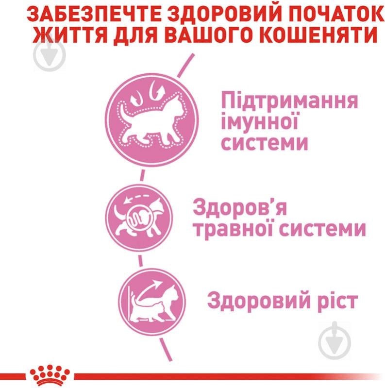 Корм сухой для котят Royal Canin Kitten домашняя птица, рис 2 кг - фото 5