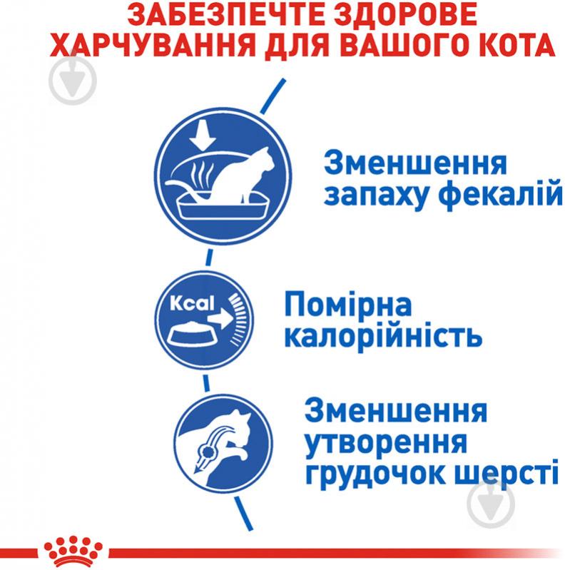 Корм сухий для домашніх котів від 12 місяців до 7 років, які живуть у приміщенні Royal Canin Indoor птах, пшениця 2 кг - фото 5