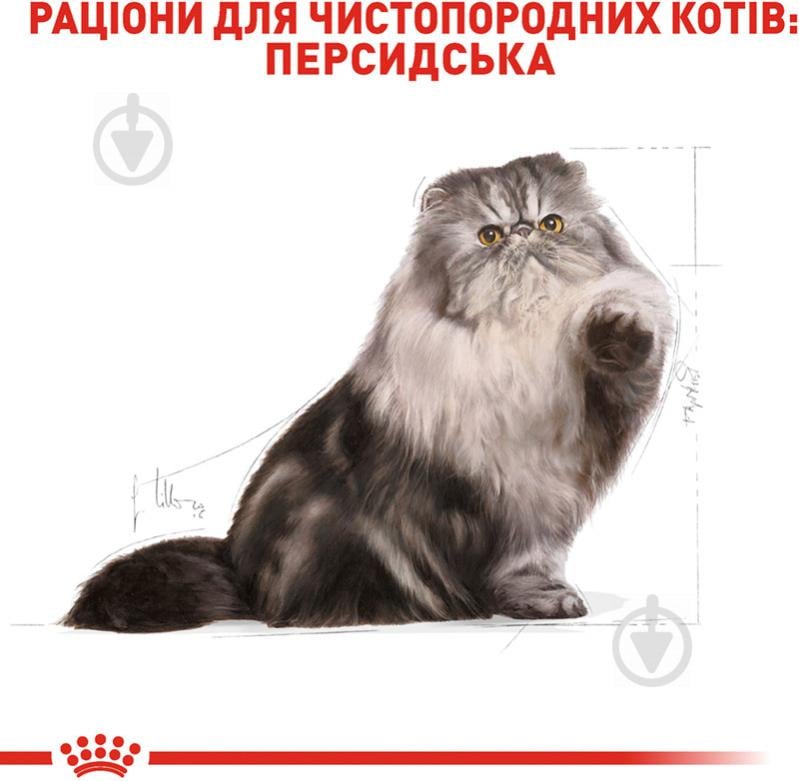 Корм сухий для котів персидської породи старше 12 місяців Royal Canin Persian Adult домашня птиця, кукурудза, рис 2 кг - фото 3