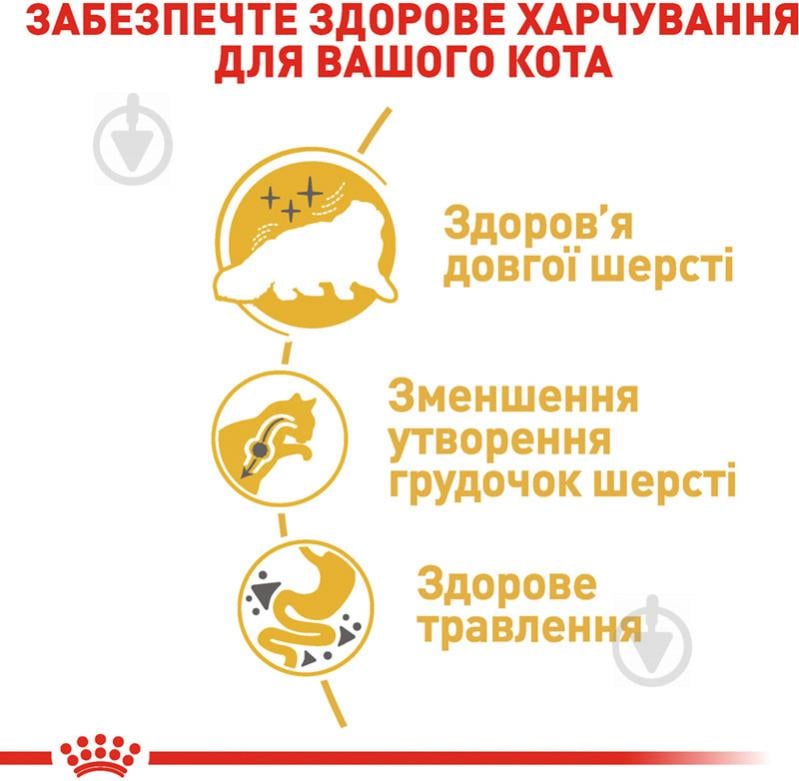 Корм сухий для котів персидської породи старше 12 місяців Royal Canin Persian Adult домашня птиця, кукурудза, рис 2 кг - фото 5