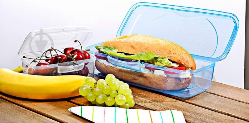 Ланч-бокс Titiz Plastik Takeaway 1,25 л AP-9270-GY - фото 2 Ланч-бокс Titiz Plastik Takeaway 1,25 л AP-9270-GY - фото 2
