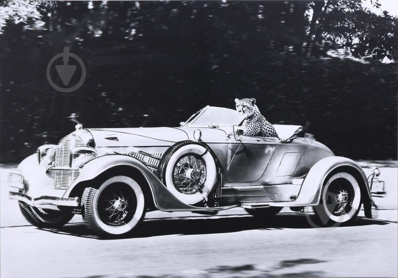 Картина Гепард 100x70 см Styler CA-18499 - фото 1 Картина Гепард 100x70 см Styler CA-18499 - фото 1