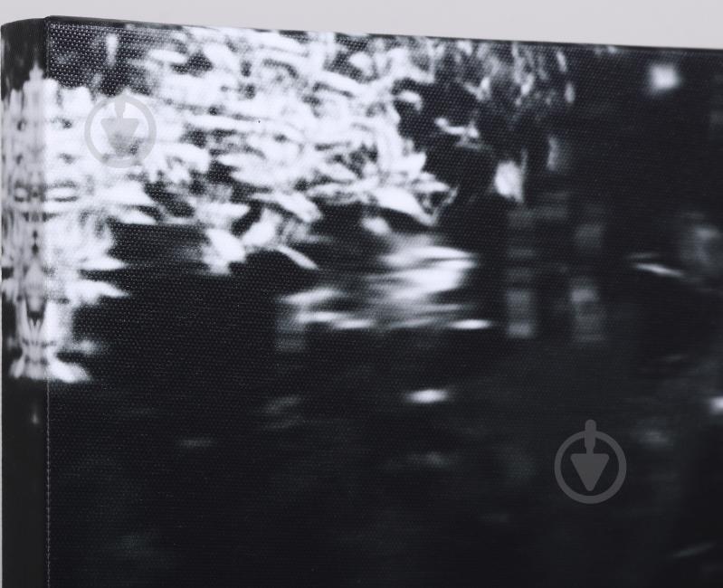 Картина Гепард 100x70 см Styler CA-18499 - фото 4 Картина Гепард 100x70 см Styler CA-18499 - фото 4