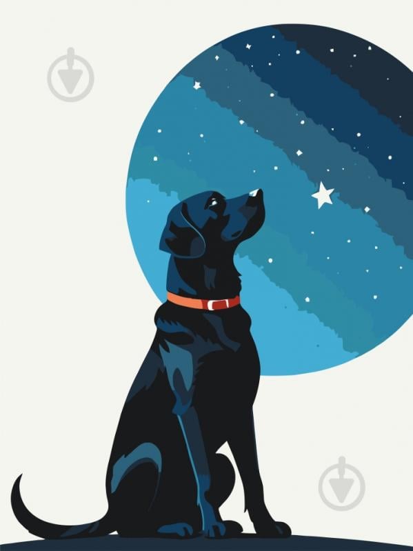 Картина по номерам Звездный пес 11714-AC 30х40 см ART CRAFT - фото 1 Картина по номерам Звездный пес 11714-AC 30х40 см ART CRAFT - фото 1