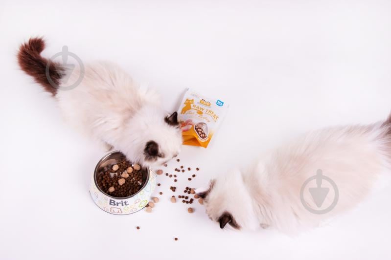 Ласощі Brit Raw Treat Hair & Skin Freeze-dried з рибою та індичкою 40 г - фото 3 Ласощі Brit Raw Treat Hair & Skin Freeze-dried з рибою та індичкою 40 г - фото 3