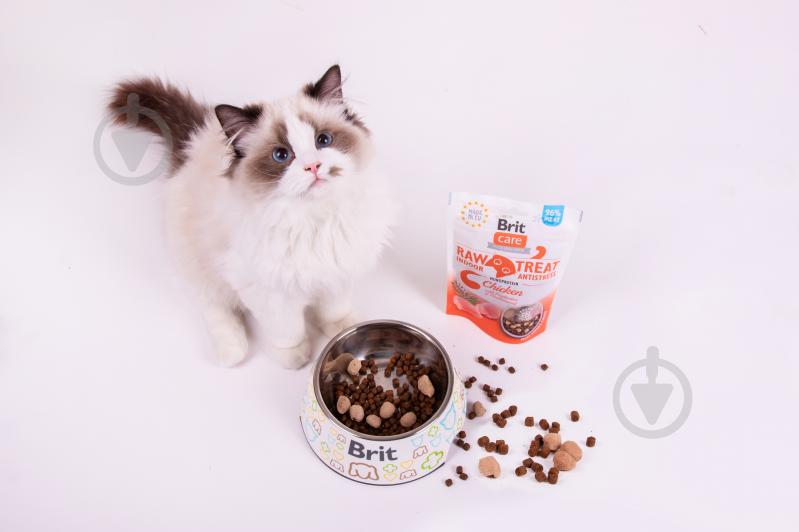 Ласощі Brit Raw Treat Indoor & Antistress Freeze-dried з куркою 40 г - фото 3 Ласощі Brit Raw Treat Indoor & Antistress Freeze-dried з куркою 40 г - фото 3