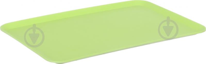 Поднос Green 340х238х15 мм - фото 2