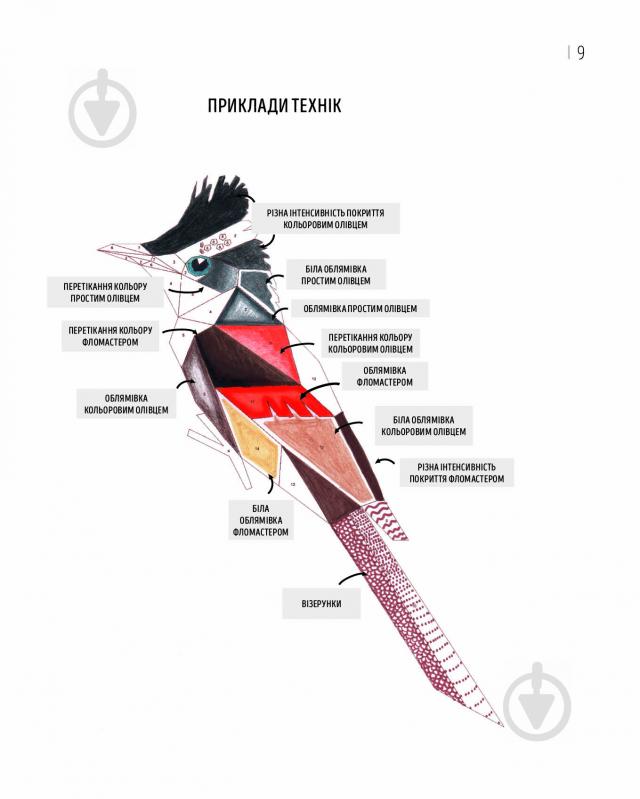 Раскраска по номерам «Зоометрія. Дивовижні птахи» 9-786-177-579-914 - фото 4