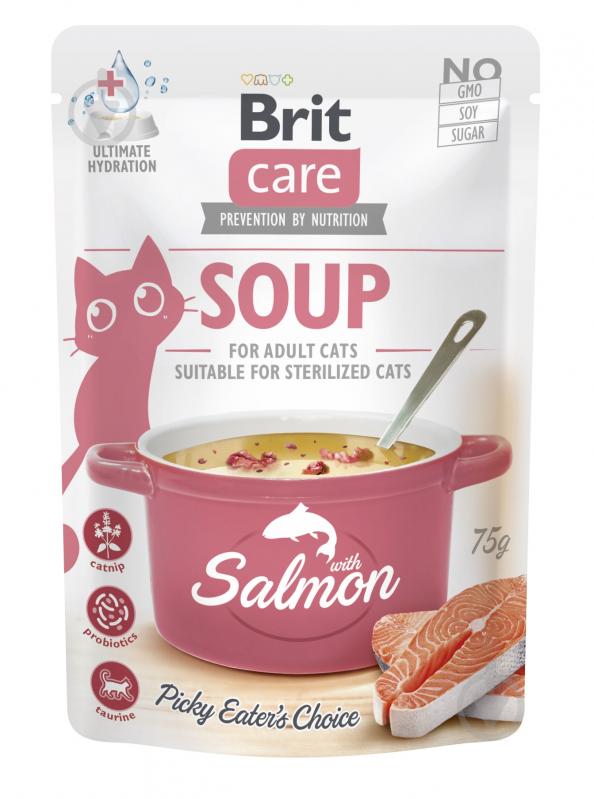 Корм вологий для котів Brit Care Суп з лососем 75 г - фото 1