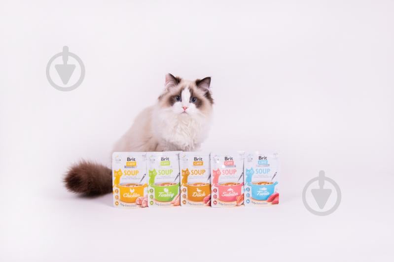 Корм вологий для котів Brit Care Суп з лососем 75 г - фото 4