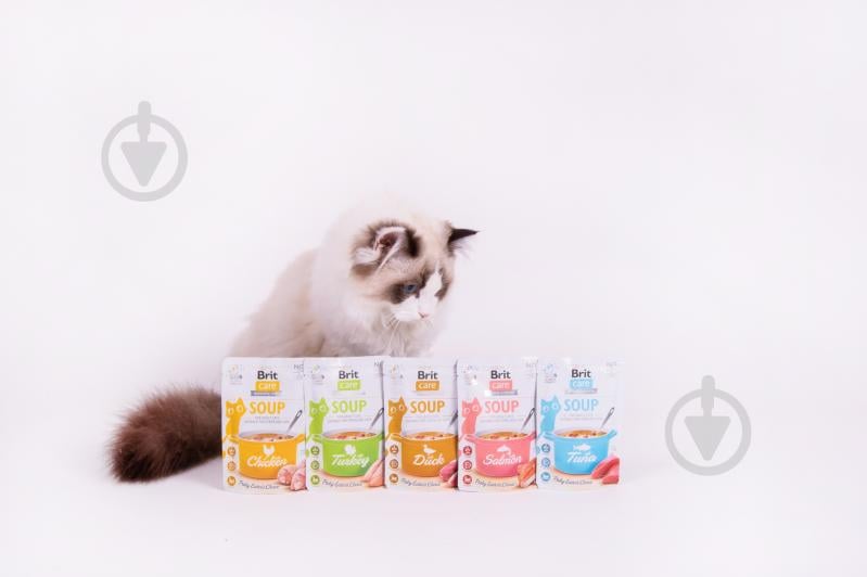 Корм вологий для котів Brit Care Суп з лососем 75 г - фото 5