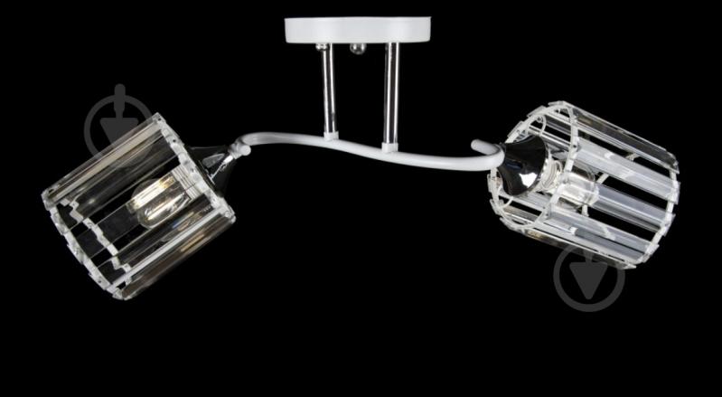 Люстра потолочная Focus Light 2x60 Вт Е27 хром с белым 3254/2 - фото 1