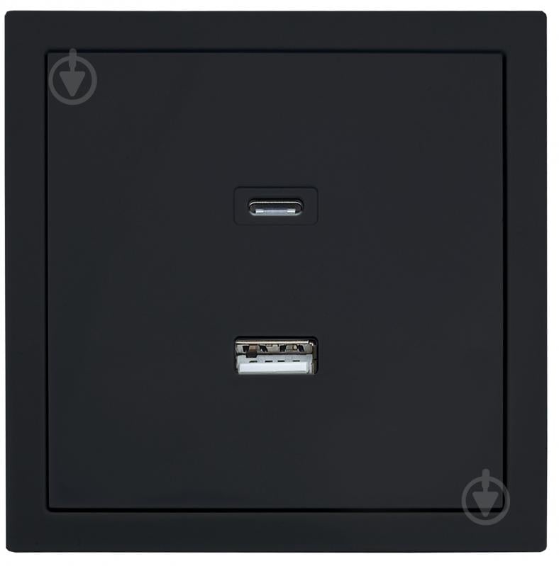 Механизм розетки USB + Type C HausMark Juna черный - фото 1 Механизм розетки USB + Type C HausMark Juna черный - фото 1