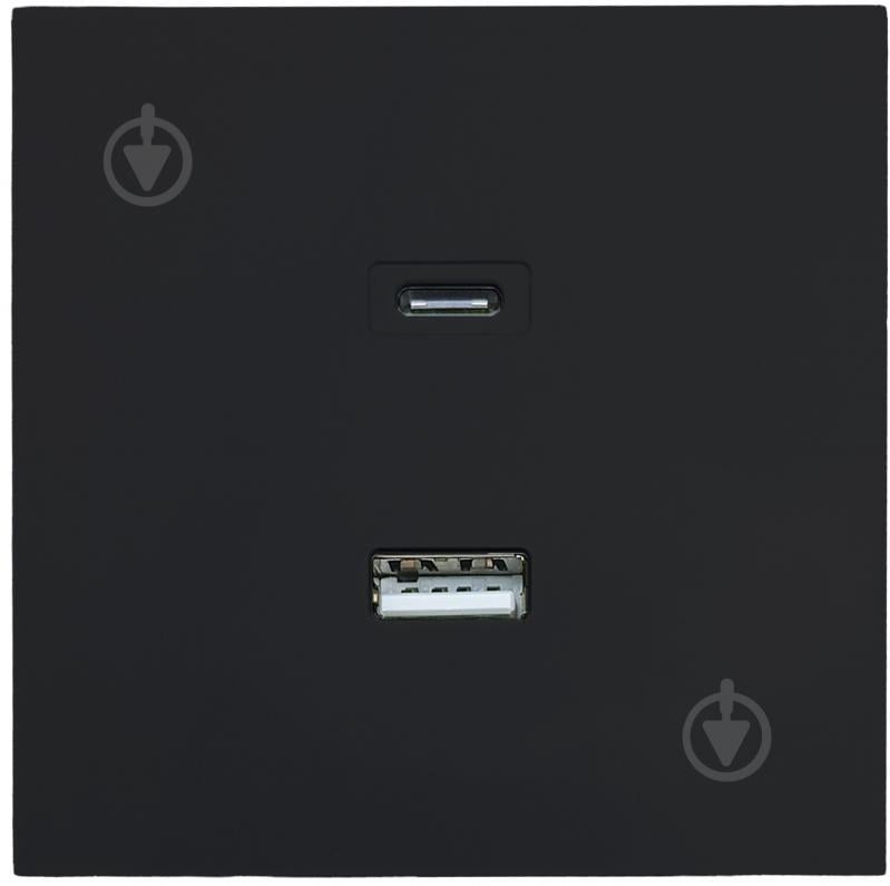 Механизм розетки USB + Type C HausMark Juna черный - фото 2