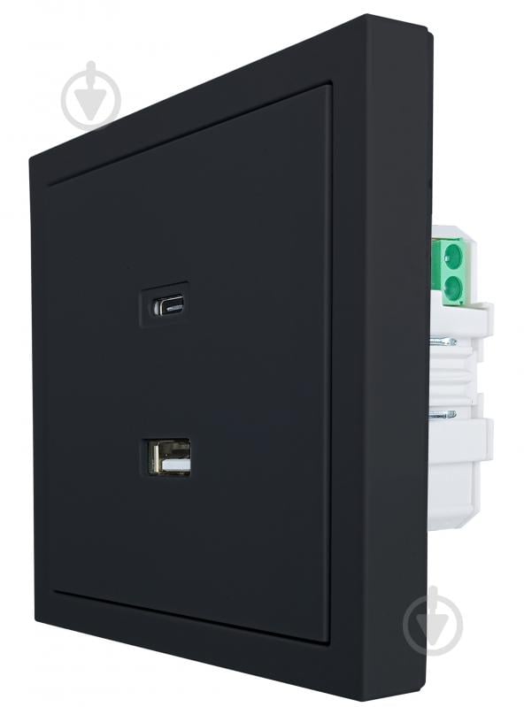 Механизм розетки USB + Type C HausMark Juna черный - фото 3