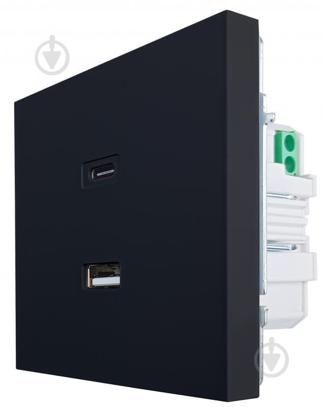 Механизм розетки USB + Type C HausMark Juna черный - фото 5