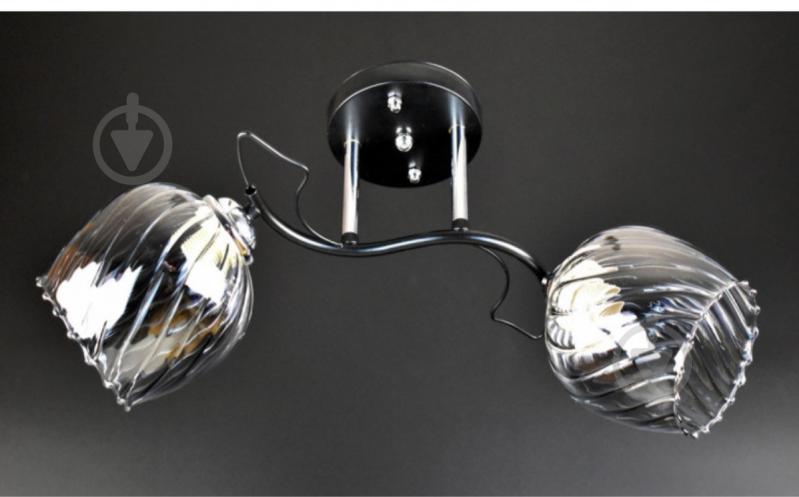 Люстра потолочная Focus Light 2x60 Вт Е27 черный 3224/2 - фото 1