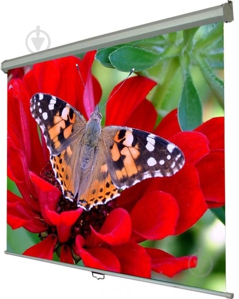 Экран Walfix 100" SNM-3 - фото 1 Экран Walfix 100" SNM-3 - фото 1