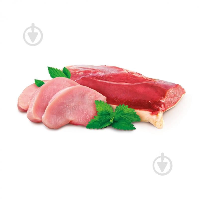 Корм сухой беззерновой Home Food для взрослых собак малых пород Утка и индейка Grain-free hypoallergenic 300 г - фото 2