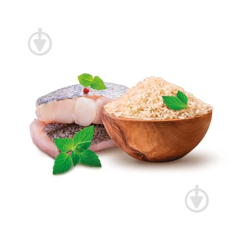 Корм сухий Home Food для дорослих собак малих порід Форель та рис Hypoallergenic 300 г - фото 2