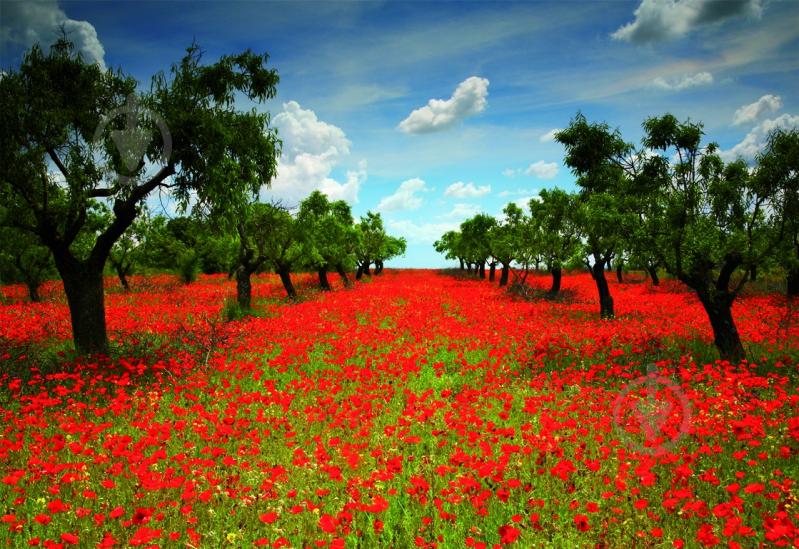 Пазл Educa Макове поле EDU-15992 - фото 2