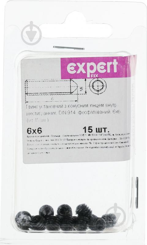 Гвинт інсталяційний М6х6 мм Expert Fix DIN 914 15 шт. - фото 2
