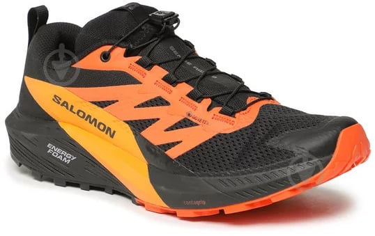 Кросівки чоловічі демісезонні Salomon SENSE RIDE 5 GTX L47147300 р.46 чорні - фото 2