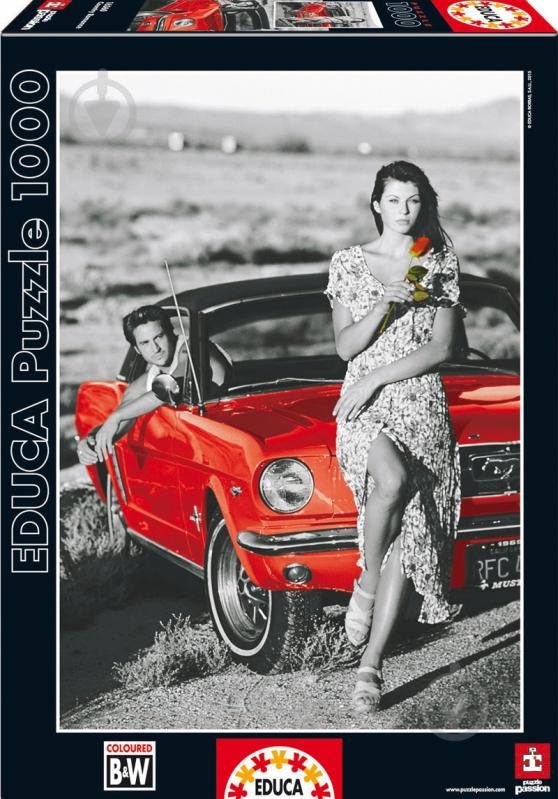 Пазл Educa Заміська романтика EDU-16360 - фото 1