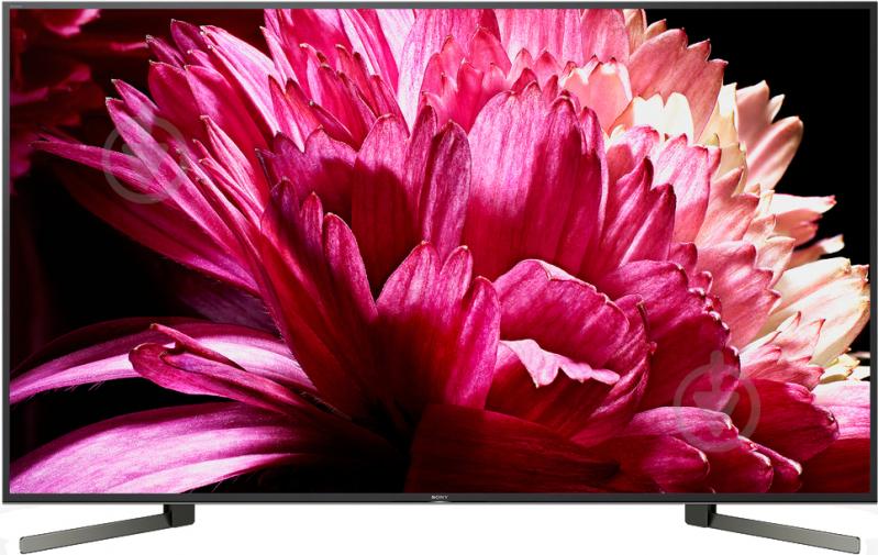 Телевизор Sony KD55XG9505BR - фото 1