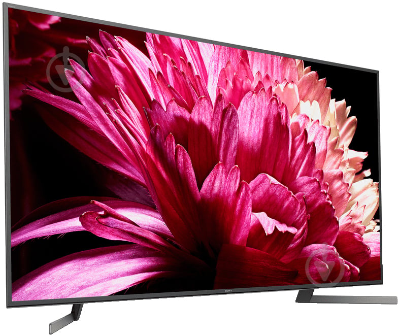 Телевизор Sony KD55XG9505BR - фото 2