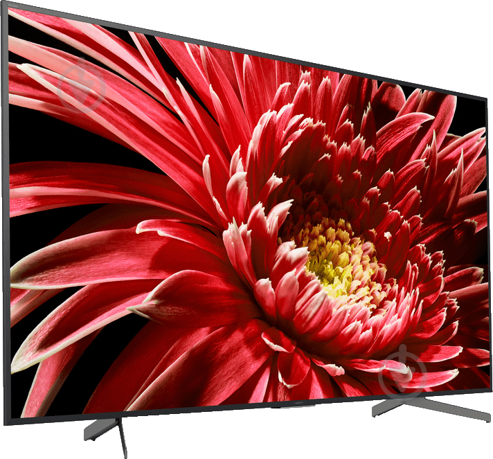 Телевизор Sony KD75XG8596BR2 - фото 2