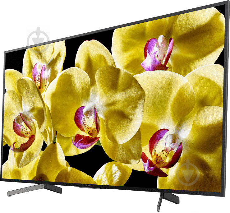 Телевизор Sony KD55XG8096BR - фото 3