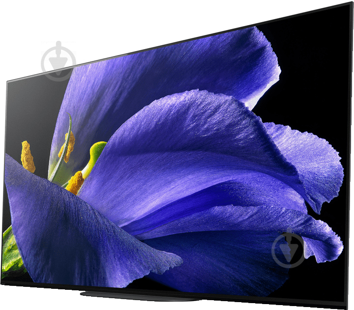 Телевизор Sony KD65AG9BR2 - фото 4