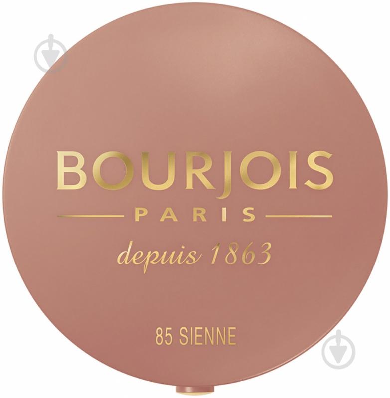 Румяна BOURJOIS Pastel Joues №85 натуральный 2,5 г - фото 2