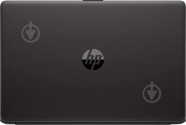 Ноутбук HP 250 G7 15,6" (6MS19EA) black - фото 4