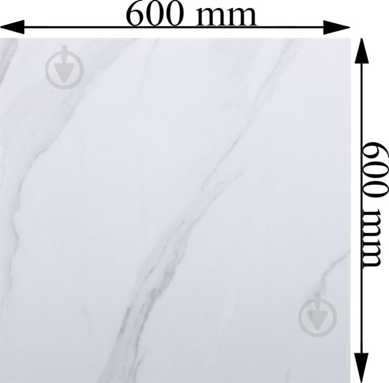 Плитка PGVT PGVT 600x600 vitro satuario - фото 4