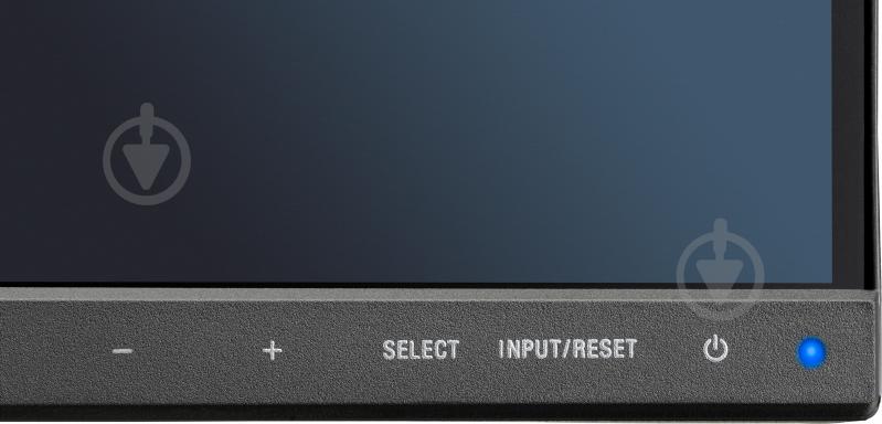 Монитор NEC MultiSync E241N 23,8" (60004222) - фото 10