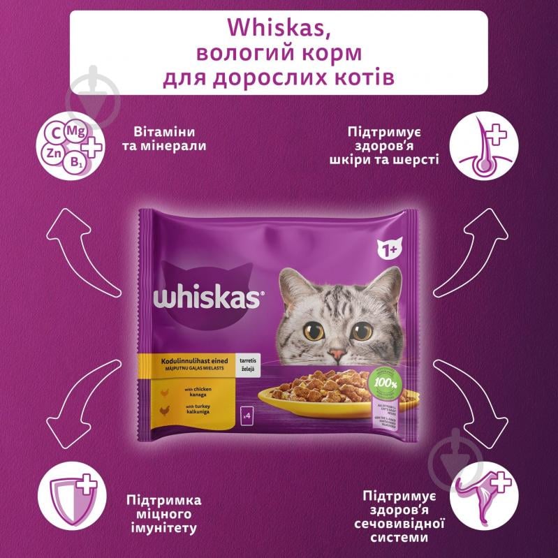 Корм влажный для котов Whiskas с курицей, с индейкой в желе 4х85 - фото 4 Корм влажный для котов Whiskas с курицей, с индейкой в желе 4х85 - фото 4