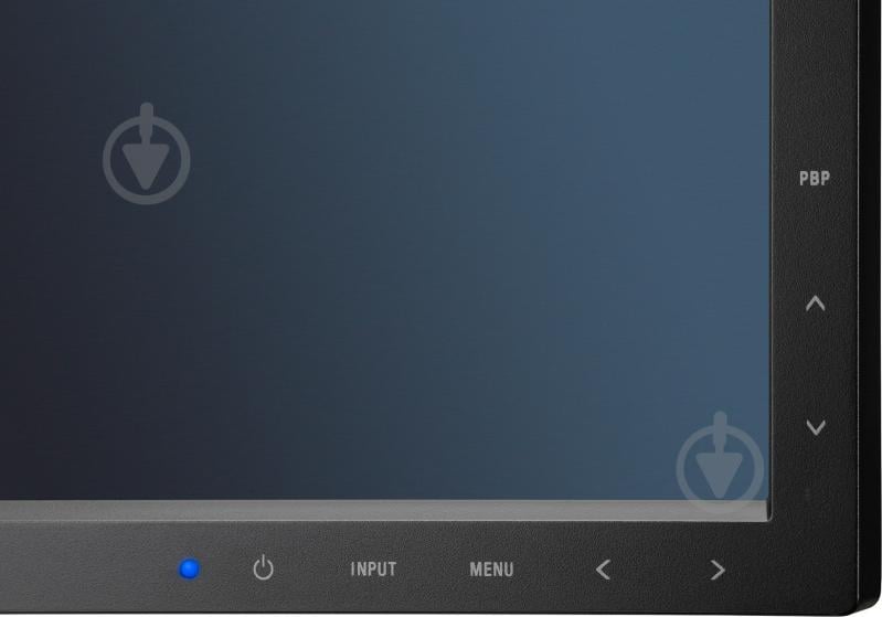 Монитор NEC MultiSync EA295WMi 29" (60003817) - фото 11