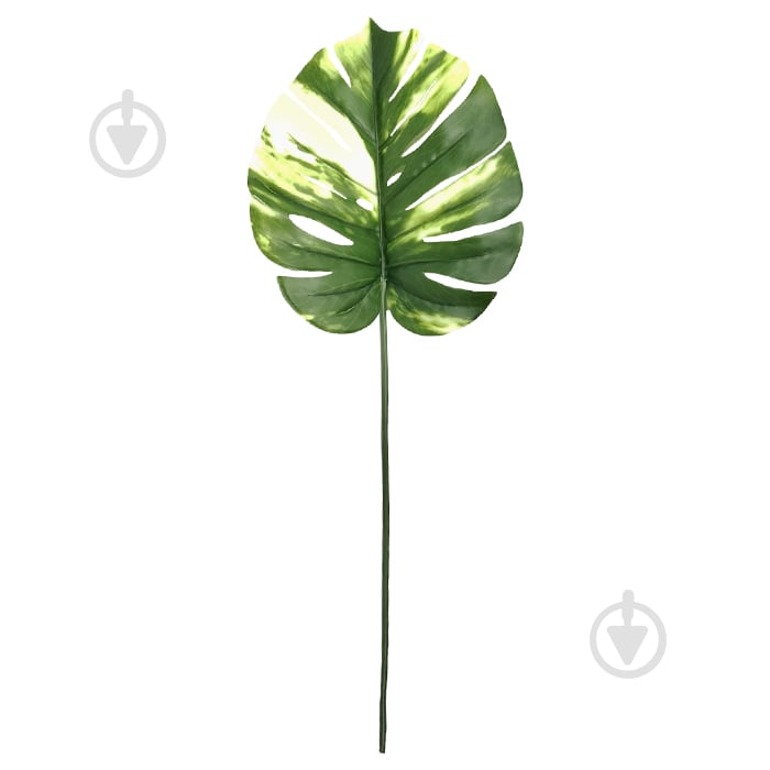 Гілочка декоративна Monstera Alba 71 см TW-53 Engard - фото 1