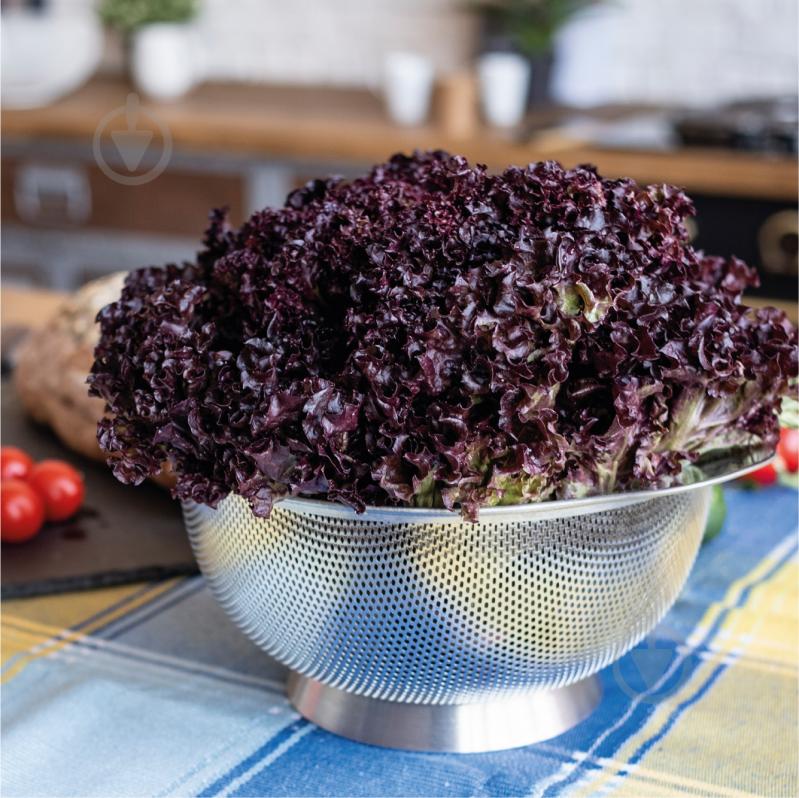 Дуршлаг Vinzer 18 см 89220 - фото 9