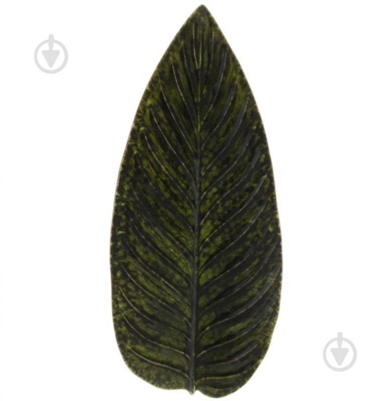 Блюдо сервировочное Costa Nova 39,8х17,2 см (560673995232) - фото 1 Блюдо сервировочное Costa Nova 39,8х17,2 см (560673995232) - фото 1