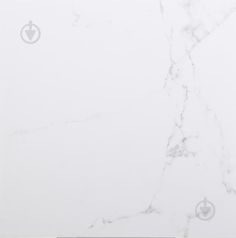 Плитка Porcelanosa Carrara Blanco Brillo 59,6x59,6 - фото 1