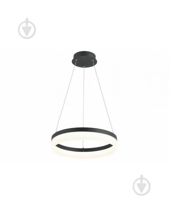 Люстра подвесная Reality Cornelia 1x24 Вт LED-модуль черный 330601-35 - фото 1