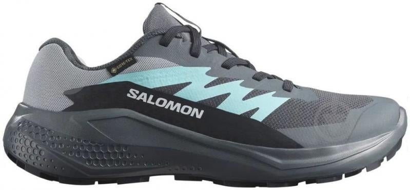 Кроссовки женские демисезонные ALPHAGLIDE GTX W L47802500 р.38 2/3 серые - фото 1 Кроссовки женские демисезонные ALPHAGLIDE GTX W L47802500 р.38 2/3 серые - фото 1