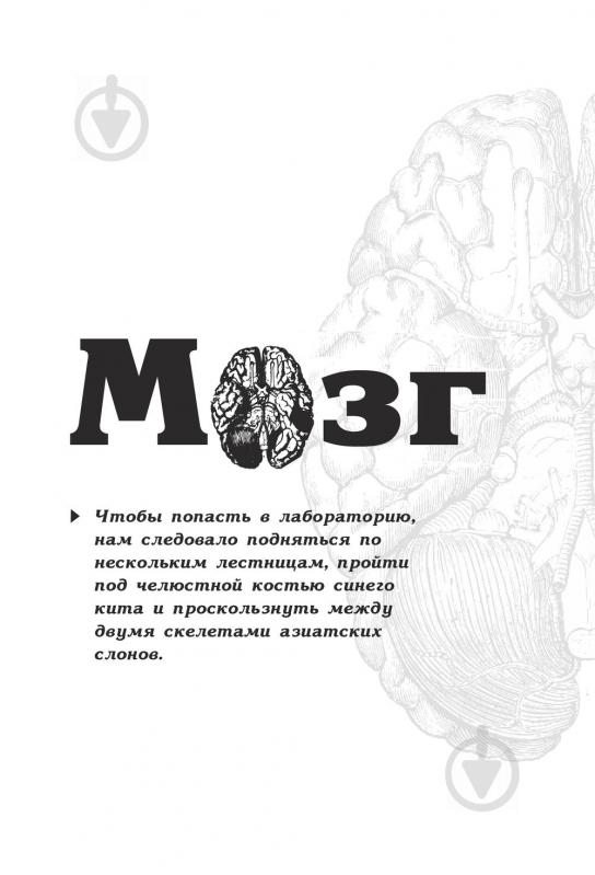 Книга Гэвин Фрэнсис «Путешествие хирурга по телу человека» 978-5-699-93422-5 - фото 8