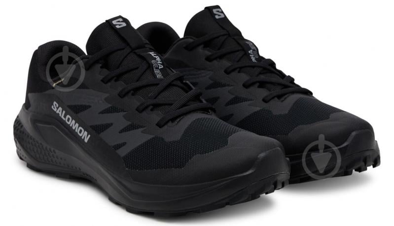 Кроссовки мужские демисезонные Salomon ALPHAGLIDE GTX L47802100 р.46 черные - фото 2
