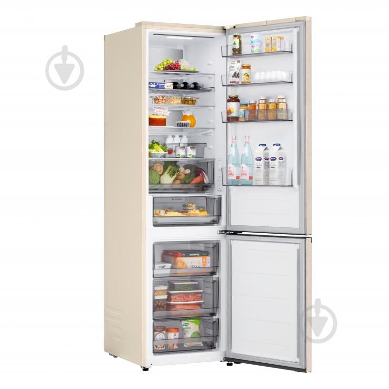 Холодильник LG GC-B509EESM - фото 20